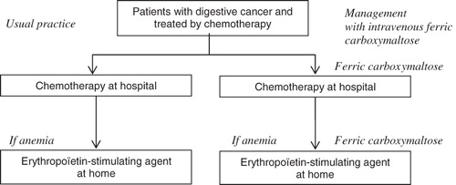 Figure 2.  Comparison of treatment strategies in chemotherapy-induced anemia in digestive cancer.
