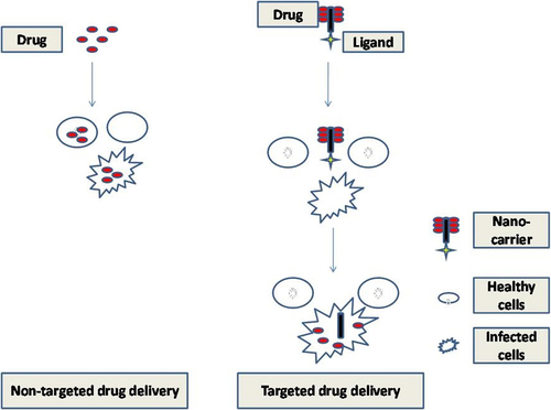 Figure 1. Difference between targeted and untargeted drug delivery system.