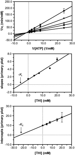 Figure 4. Kinetic analysis of pyridoxal kinase inhibition by THI with respect to the cosubstrate ATP shows that THI acts as a non-competitive inhibitor. Lineweaver–Burk (top) and secondary plots (middle, bottom) reveal the inhibition constants Ki = 5.3 mM and Kii = 23.0 mM. Mean values with standard errors are shown from duplicate or triplicate measurements; THI concentrations: • 0 mM, ▪ 4.2 mM, ▴ 7.5 mM, ▾ 15.0 mM and ♦ 20.0 mM.