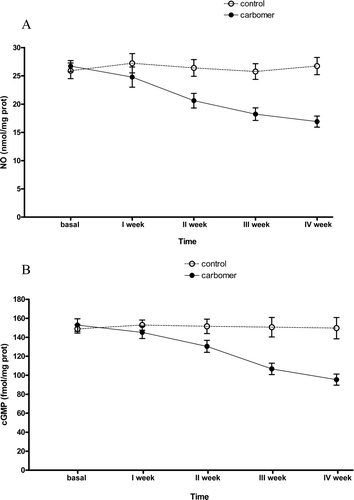 Figure 2.  (A) Effects of carbomer injection on nitrite levels in aqueous humour of rabbits, in a 4 week time-course; (B) Effects of carbomer injection on cGMP levels in aqueous humour in a 4 week time-course, in the rabbits used for glaucoma induction.