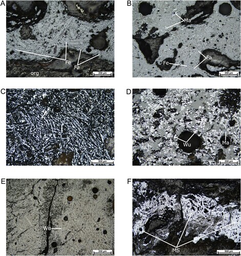 Figure 5. Optical photomicrographs of polished sections in reflected light. (A) is characterized by long laths of fayalite (Fa) in a siliceous matrix. The white dots are inclusions of metallic iron (Fe). At the bottom of the photo, there are some traces of organic matter – coal (org). (B) is generally composed of fayalite (Fa) and magnetite (Ma), accompanied by the presence of metallic iron inclusions (Fe). Texture (C) demonstrates elongated fayalite forming a spinifex texture that is associated with a fast cooling rate. (D) is characterized by wüstite (Wu) and magnetite crystals (Ma). The presence of wüstite both in a dendrite and globular form indicates variable cooling conditions, with faster cooling in the areas within which the dendrites are formed. Sample (E) is mainly dominated by well-developed wüstite dendrites (Wu). (F) is representing a fluidal texture (MS), which suggests the application of a high temperature. All the photomicrographs were taken under plane-polarized light unless otherwise stated.