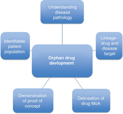 Figure 1. Factors influencing successful orphan drug development.