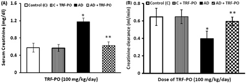 Figure 2. (A) Effect of TRF on serum creatinine in experimental atherogenic rats. Values are mean ± SD. *p < 0.01 versus control; **p < 0.01 versus atherogenic diet (AD) and (B) effect of TRF on creatinine clearance in experimental atherogenic rats. Values are mean ± SD. *p < 0.01 versus control; **p < 0.01 versus atherogenic diet (AD).