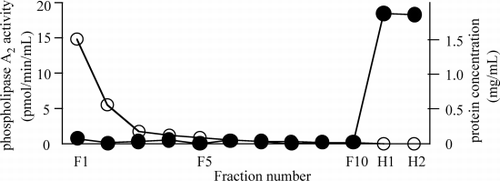 Figure 1. Phospholipase A2 (PLA2) activity and protein concentration after heparin elution from large‐pore hemofilter. One hemofilter was washed with 1 L of acetate Ringer solution and ten 5‐mL fractions every 100 mL of washed solution (fraction number: F1 to F10) were collected. PLA2 bound to hemofilter was eluted with 200 mL of saline including 1 mg/mL heparin and two 5 mL‐fractions every 100 mL of eluting solution (fraction number: H1, H2) were collected. Protein concentration (open circle) and PLA2 activity (solid circle) of each fraction were assayed.