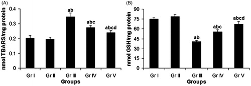 Figure 3. Effect of compound 4 on pulmonary LPO level (A) and pulmonary GSH level (B) after administration of CP. Data are represented as mean ± SD. (a) Significant (p < 0.05) as compared with Gr. I; (b) significant (p < 0.05) as compared with Gr. II; (c) significant (p < 0.05) as compared with Gr. III; (d) significant (p < 0.05) as compared with Gr. IV.