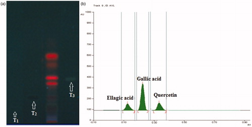 Figure 1. (a) HPTLC profile of CALE under UV 366 nm. (b) HPTLC chromatogram of CALE at a scan wavelength of 278 nm. T1: standard ellagic acid; T2: standard gallic acid; T3: standard quercetin.