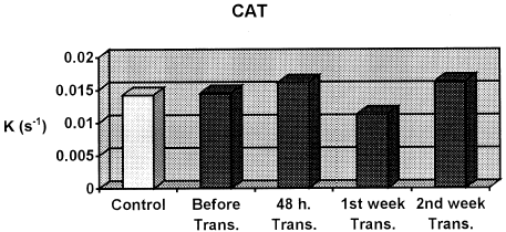 Figure 2. Comparison of CAT levels.