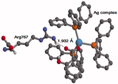 Figure 11. The geometry of Arg767 and the Ag complex (salicylic), as obtained from the MD trajectory. For clarity, only some of the hydrogen atoms are shown. O, C, N, P, Ag and H atoms are shown in red, gray, violet, orange, blue and white, respectively.