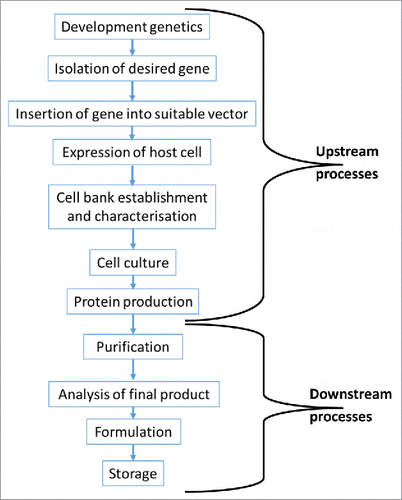 Figure 1. Overview of the process required to produce a biologic medicinal product. The production process is broken down into 2 main parts. The upstream processes are responsible for genetic manipulation of a host cell and the subsequent large scale production of the drug substance. The downstream processes are responsible for the purification of the drug substance and its formulation into a drug product.