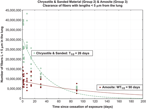 Figure 9.  Clearance of fibers shorter than 5 µm from chrysotile fibers and sanded joint compound particles (group 2) and the amosite (group 3).