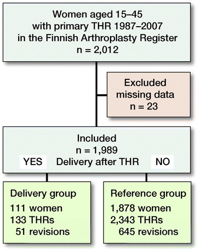 Figure 1. Flow chart of study population and events of total hip replacement (THR) survival among fertile-aged (15 to 45) women having delivery compared with women not having delivery after THR.