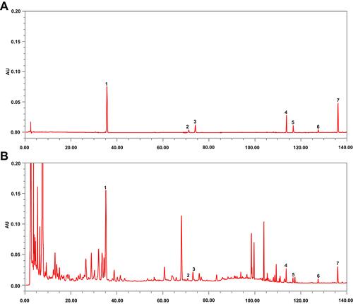 Figure 3 Major chemical compounds in XBCQ by HPLC analysis. Mixed standard substances (A). XBCQ sample, peaks 1, 2, 3, 4, 5, 6, and 7 are derived from amygdalin, rutin, isoquercitrin, aloe-emodin, rhein, emodin, and chrysophanol, respectively (B).