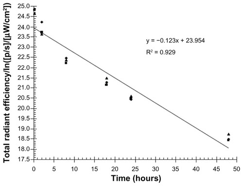 Figure 2B Decrease of fluorescence intensity of DiR SBS liposomes in rat lungs after intratracheal administration.Note: n = 3 for each time point.Abbreviations: SBS, salbutamol sulfate; DiR, 1,1′-dioctadecyltetramethyl indotricarbocyanine iodide.