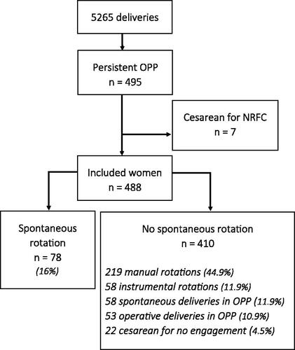 Figure 1. Flowchart.OPP: Occiput Posterior Position; NRFC: Non-Reassuring Fetal Condition.