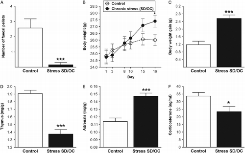 Figure 4.  Chronic stress-induced physiological changes. Mice subjected to chronic SD and OC showed a significant decrease in the number of faecal pellets, 24 h following the last stress session. N = 13–14 mice per group. (B) Daily body weight changes. SD/OC mice showed a significant increase in body weight over days compared with control mice. (C) Body weight gain. SD/OC mice gained significantly more body weight by the end of the SD/OC procedure (calculated as the difference between Day 19 and Day 1). N = 37–38 mice per group. (D,E) Relative thymus and adrenal weights [expressed as tissue weight (mg) per body weight (g)]. SD/OC mice show significantly reduced thymus weight (D) and increased weight of the adrenals (E). (F) Dark-phase plasma corticosterone concentrations. SD/OC mice showed significantly lower levels of plasma corticosterone than the control group. N = 14 mice per group. Data are expressed as mean ± SEM. *p < 0.05 and ***p < 0.001 vs. control mice (two-tailed Student's t-test).