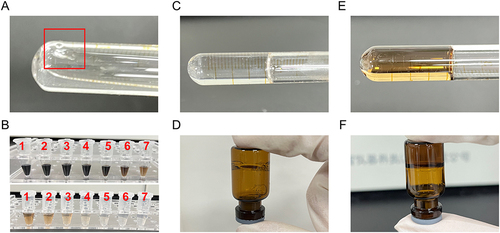 Figure 3 Appearance of gels. (A) Gelation capacity. (B) The appearance of different concentrations of C-dots loading into blank in situ gel (1 to 7 represents the concentration of 100, 80, 40, 20, 10, 5, and 2.5 μg/mL, respectively). (C and D) Blank gel and (E and F) C-dots@gel at gelation temperature.