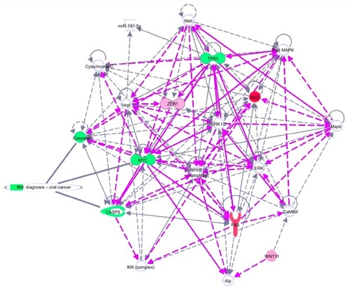 Figure 5 Gene network, created using IPA® software, reflecting EGCG treatment.