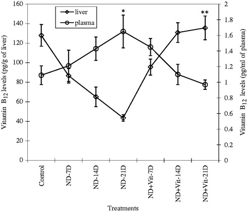 Figure 2. Vitamin B12 levels in the liver and plasma of experimental animals during NDMA-induced hepatic fibrosis and after treatment with vitamin B12. Values are expressed as mean ± SD (*p < 0.05, **p < 0.001).
