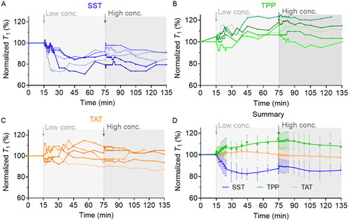 Figure 3. Cellular radical response to low and high concentrations of SST (a), TPP (b), and TAT (c) was measured by T1 relaxometry. Each curve represents an independent experiment on one isolated nanodiamond. (D) the general trend of cellular response to SST, TPP, and TAT treatment. The data is shown as mean ± SD (n = 5).