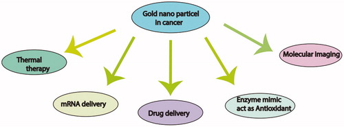 Figure 1. The schematic view of gold nanoparticles (GNPs) biological activity including gene and drug delivery, enzyme mimicking, molecular imaging and thermal therapy.