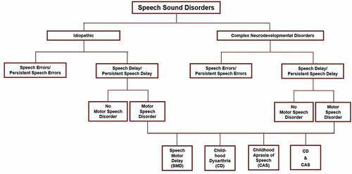 Figure 1. Four classification dichotomies in Speech Sound Disorders (SSD).