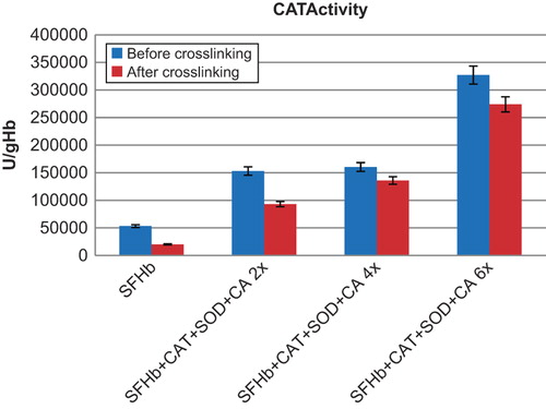 Figure 2. Comparison of CAT activities in different samples. Left to right: SFHb before and after crosslinking; SFHb + CAT+ SOD + CA 2x (SFHb plus 2x extracted SOD, CAT, and CA) before and after crosslinking; SFHb + CAT+ SOD + CA 4x (SFHb plus 4x extracted SOD, CAT, and CA) before and after crosslinking; SFHb + CAT+ SOD + CA 6x (SFHb plus 6x extracted SOD, CAT, and CA) before and after crosslinking.
