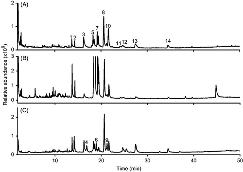Figure 1. Total ion chromatogram (TIC) of the non-polar fractions of the analyzed hydroethanolic extracts: roots of E. purpurea (A), roots and aerial parts of E. purpurea (B) and roots, aerial parts of E. purpurea and roots of E. angustifolia (C). The identity of the detected peaks is shown in Table 3.