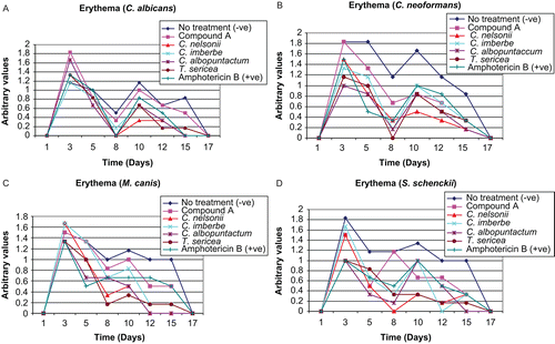 Figure 2.  The influence of the crude extracts, isolated compound, and amphotericin B (positive control) on wound erythema in rats infected with C. albicans (A), C. neoformans (B), M. canis (C), and S. schenckii (D).
