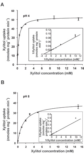 Figure 6. Concentration dependence of xylitol uptake in LjPLT4-expressing yeast cells at pH 4 (A) and at pH 8 (B). The incubation time of the uptake reaction was 3 min. Results are means ± SE of four replicates (n = 4). Lineweaver-Burk plots of uptake rates are shown in the insets.