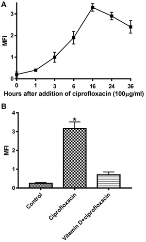 Figure 1 Ciprofloxacin-induced antibacterial action on E. coli cells is preceded by a time-dependent reactive oxygen species (ROS) generation. (A) Mean fluorescence intensity (MFI) was shown as the ratio of geometric mean fluorescence intensity of the test sample and the corresponding control. The data shown are representative of three individual experiments. (B) Pretreatment for 16 hour of E. coli cells with vitamin D (100 µM) reduced ciprofloxacin-induced ROS generation. 2’,7’-dichlorofluorescein diacetate (DCF-DA) (10 µM) was added for the last 30 minutes of incubation. The intensity of DCF-DA fluorescence was determined using flowcytometry with an excitation wavelength of 480 nm and an emission wavelength of 530 nm. The data shown are representative of three individual experiments. *Indicates significant difference from the control, and ciprofloxacin only treated groups (One-Way ANOVA followed by Tukey’s post hoc test, p < 0.05).