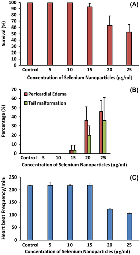 Figure 5. (A) Viability of zebrafish embryos exposed to various concentrations of selenium nanoparticles after 96 hpf. (B) Percentage of malformation (tail, pericardial edema) induced by different concentrations of selenium nanoparticles. (C) Effects of selenium nanoparticles on heart rates of zebrafish embryos at 96 hpf.