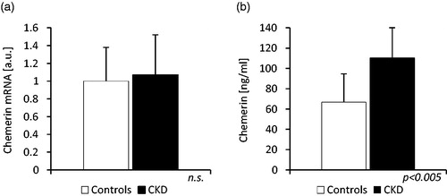 Figure 3. The comparison of (a) chemerin mRNA levels in adipose tissue and (b) serum chemerin concentration of patients with stage 3 and 4 chronic kidney disease (CKD) and controls (Controls). The received blots were scanned and quantified by Sigma Scan software program. The data are expressed in arbitrary units (a.u.).