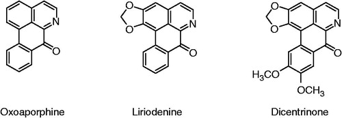 Figure 1. Structure of oxoaporphine, liriodenine and dicentrinone.