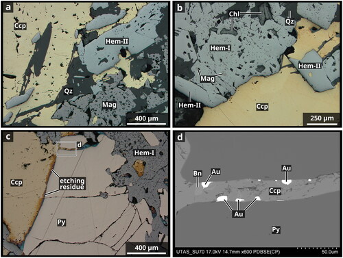 Figure 9. Reflected light photographs (a–c) and BSE Image (d) of mineralised ironstones from Starra 276 and 222. (a) Chalcopyrite and Hem-II form, while magnetite remains intact (MH_STA_215, STQ1091, 388.9 m). (b) Relict magnetite in porous, rounded Hem-I and specular Hem-II associated with chalcopyrite precipitation (MH_STA_066a, STQ1042, 364.2 m). (c, d) Chalcopyrite overprinting pyrite and granular, porous Hem-I. Precipitation of free gold coincides with chalcopyrite ± bornite formation. Both fill pyrite cracks (MH_STA_051, STD1119, 322.9 m). Mineral abbreviations: Ccp, chalcopyrite; Chl, chlorite; Hem, hematite; Mag, magnetite; Py, pyrite; Qz, quartz.