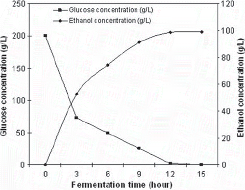 Figure 3. Change of ethanol production with glucose consumption when CMC-g-PVP3 was used with the initial 200 g/L of glucose concentration.