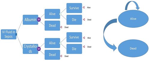 Figure 1. Partitioned survival model and Markovian decision tree with two health states.