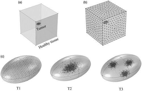 Figure 3 Implementation of power modulated heating using PID controller in a 3D model. (a) Schematic of the 3D computational model with tumor and surrounding healthy tissue. (b) Sample mesh for the 3D model. (c) Three nanoparticle distributions are illustrated: T1- uniform, T2 – Gaussian centered, and T3 – 3 pt-Gaussian distribution mimicking 3-point nanoparticle injection.