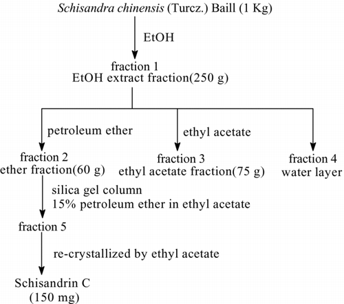 Figure 2.  Separation and purification of schisandrin C from Schisandra chinensis.