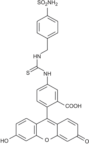 Figure 8.  Chemical structure of CA IX-selective sulfonamides: fluorescein-thioureido-homosulfanilamide. (Reprinted with permission of Elsevier.)