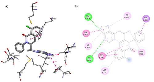 Figure 14. A) 3D structure of the docked duvelisib into the biding site of PI3Kδ (red dotted lines are non-covalent interactions); B) 2D representation of the non-covalent interactions between duvelisib and binding site amino acid residues (green dotted line: H-bonds, other coloured dotted lines: hydrophobic interactions).