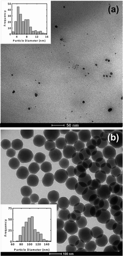 FIG. 2 TEM image of (a) 5–15 nm silica, and (b) 100 nm Stöber primary nanoparticles used for coating the glass beads. Insets show histograms of particle size distributions (N = 200).
