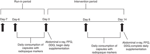 Figure 1. Timeline of study activities. DDQ = digestive discomfort questionnaire; FFQ = food frequency questionnaire.