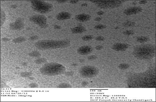 Figure 1. TEM images of ISCOMs containing Quil A.