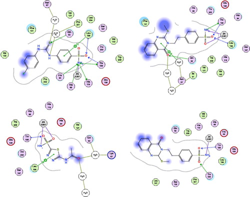 Figure 3. Docking modes of compound 2 in the binding pockets of CA isoenzymes II and XII. Interactions between the protein (PDB IDs: 5ULN and 1JD0). Predicted binding modes of co-crystallized inhibitor (upper left panel) and compound 2 (upper right panel) with hCA-II target as well as co-crystallized inhibitor (lower left panel) and compound 2 (lower right panel) with hCA-XII target.