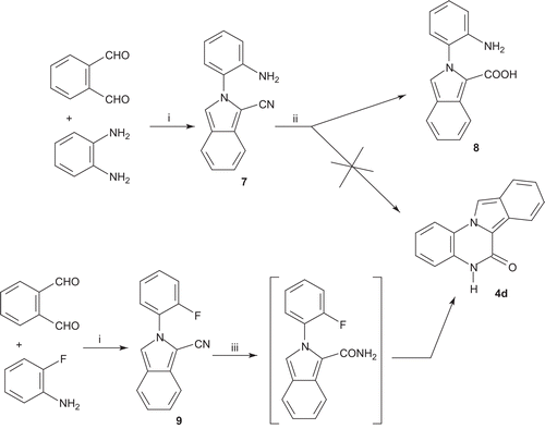 Scheme 2.  Reagents and conditions: (i) NaHSO3, KCN, H2O, 70°C; (ii) CH3COOH, Δ; (iii) KOH, tert-BuOH, 80°C.