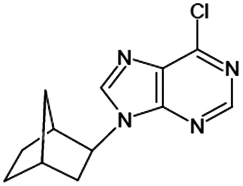 Figure 1. Structure of 9-[(1R*,2R*,4S*)-bicyclo[2.2.1]hept-2-yl]-6-chloro-9H-purine (9-norbornyl-6-chloropurine, NCP).