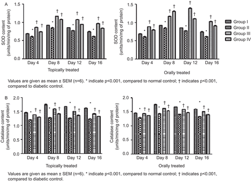 Figure 5.  Effect of topical and oral treatment of hydroalcoholic fraction on SOD (A) and catalase (B) level.
