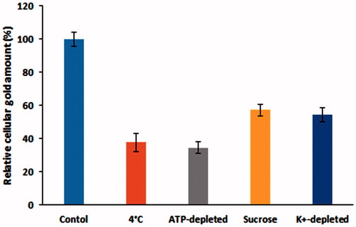 Figure 7. Influence of inhibitors on the internalization of PEC-AuNPs by HepG2 cells.