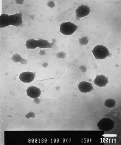 Figure 5. Transmission electron microscopy image of chitosan nanoparticles crosslinked with glutaraldehyde. The average particle size is 90 nm. (Adapted from CitationManchanda and Nimesh 2010).