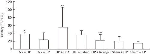 Figure 2. Urinary FEP in different rat groups.Notes: All results were from three independent experiments, and analysis was done by a core service center in a double-blinded manner. Data are presented as mean ± SD. *Significantly different from Sham + HP group at p < 0.05, **significantly different from Nx + HP group at p < 0.05, and ***significantly different from Nx + HP group at p < 0.05.